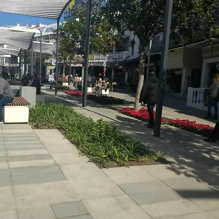 Edificio Centro Torre *
